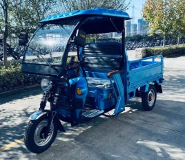 Трицикл грузовой GreenCamel Тендер 2 B1500 (60V 1000W) крыша, понижающая