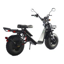 Электроскутер Skyboard Kamchatka 3000W