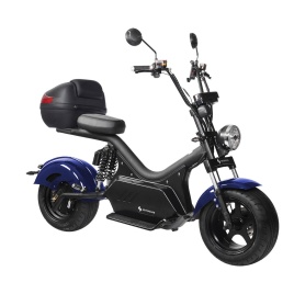 Электроскутер Skyboard Baikal BR50 3000W