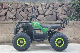 Электроквадроцикл GreenCamel Сахара A3052 (60V 3000W R10)