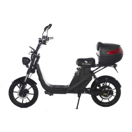 Электроскутер Skyboard Sakhalin 1200W (АКБ Li-ion 48V25Ah)