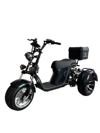 Электроскутер Skyboard MyRussia BR60 3000W (АКБ LiFePO4 72V25Ah)