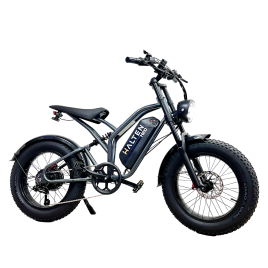 Электровелосипед HALTEN H20