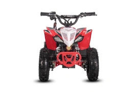  Детский Квадроцикл WHITE SIBERIA SNEG LETO R FERRA