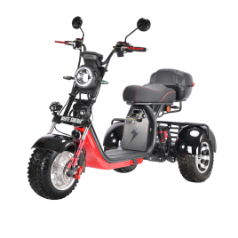 WHITE SIBERIA PRO TRIKE 3000W BLACK (колёса allroad)