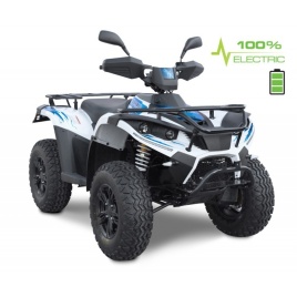 Электроквадроцикл GreenCamel Linhai LH40DA (3900W 50 км/ч)