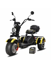 Электротрицикл Siberton Pro 3000W 60V21Ah