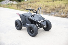 Skyboard CyberTruck Sochi Power 1000W (дифференциальный редуктор)