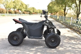 Skyboard CyberTruck Sochi Kids 800W