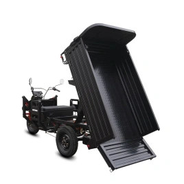 White Siberia CARGO PRO 2000W  60V36A