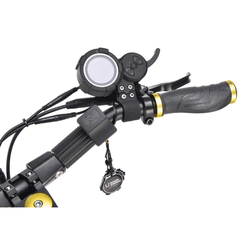 WHITE SIBERIA NERPA PRO 3600W Gold (золотой) фото 15