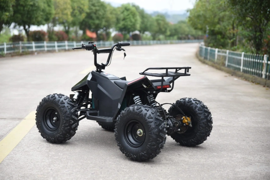 Электроквадроцикл Skyboard CyberTruck Karelia 1800W фото 18