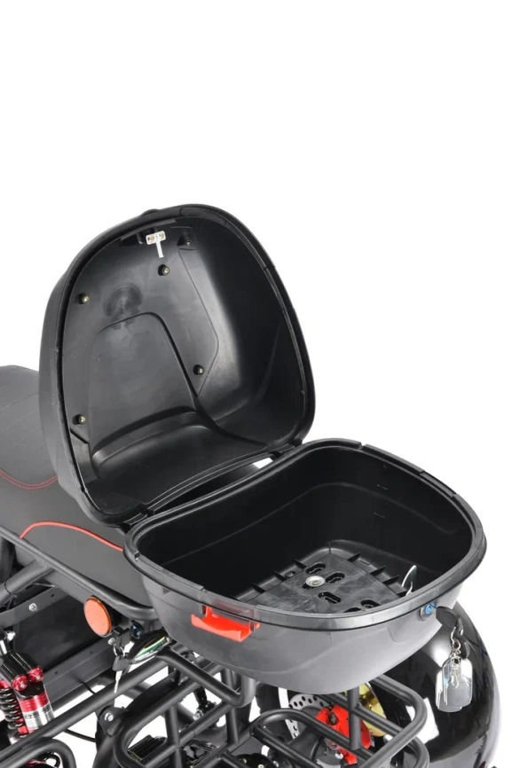 WHITE SIBERIA PRO TRIKE 3000W BLACK фото 17