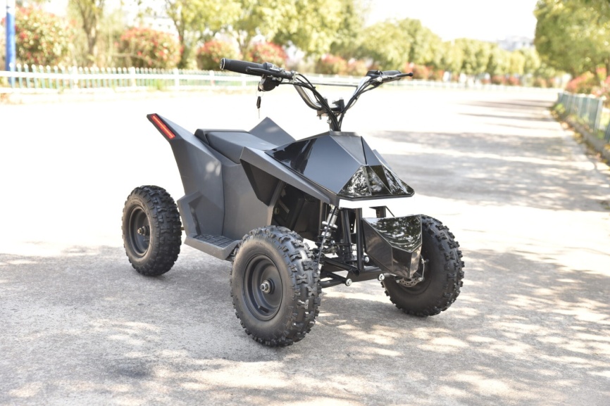 Skyboard CyberTruck Sochi Kids 800W фото 9