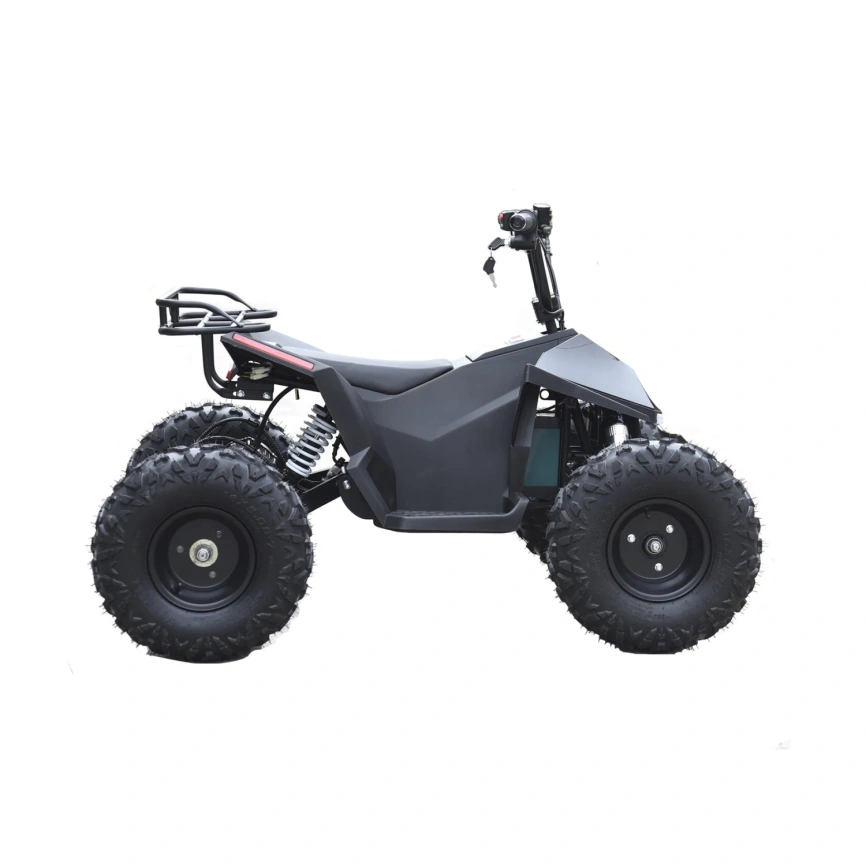 Электроквадроцикл Skyboard CyberTruck Karelia 1800W фото 4