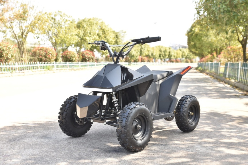 Skyboard CyberTruck Sochi Kids 800W фото 14