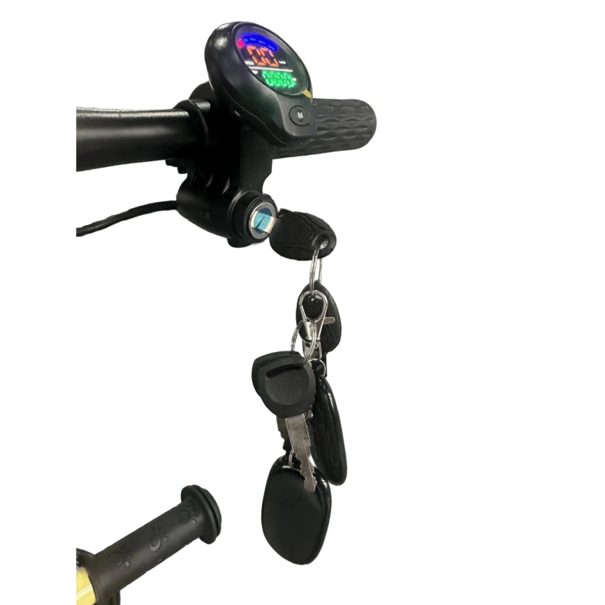 Электроскутер Skyboard Piter 350W фото 18