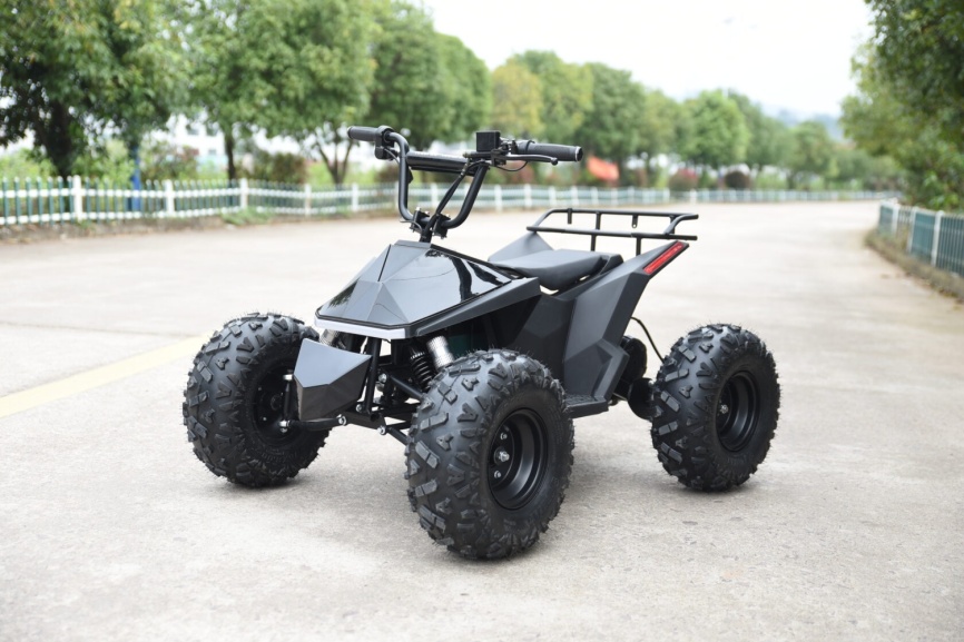 Электроквадроцикл Skyboard CyberTruck Karelia 1800W фото 14