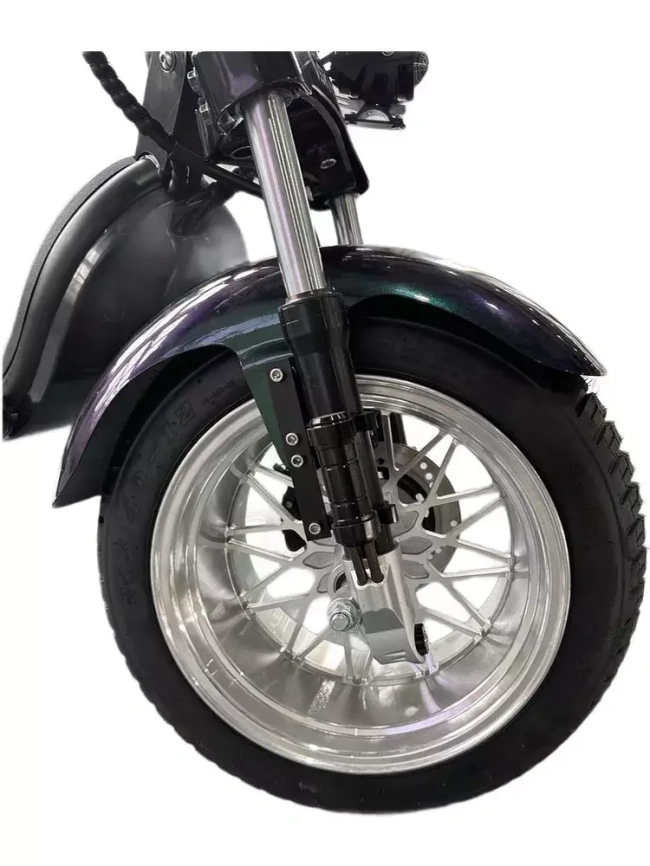 Электроскутер Skyboard MyRussia BR60 3000W (АКБ LiFePO4 72V25Ah) фото 19