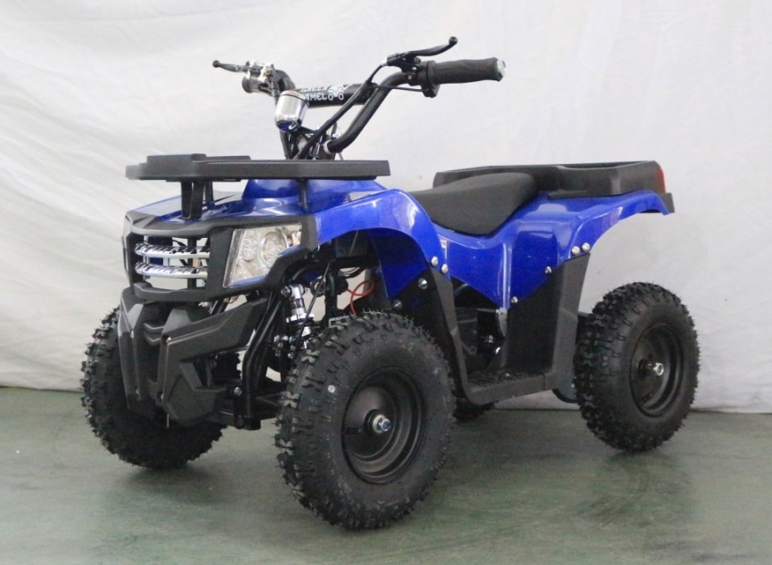 Электроквадроцикл GreenCamel Гоби K24 36V 800W фото 4