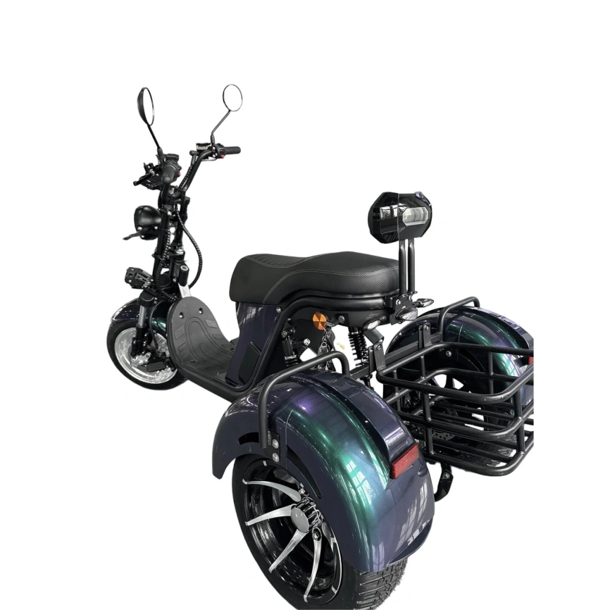 Электроскутер Skyboard MyRussia BR60 3000W (АКБ LiFePO4 72V25Ah) фото 11