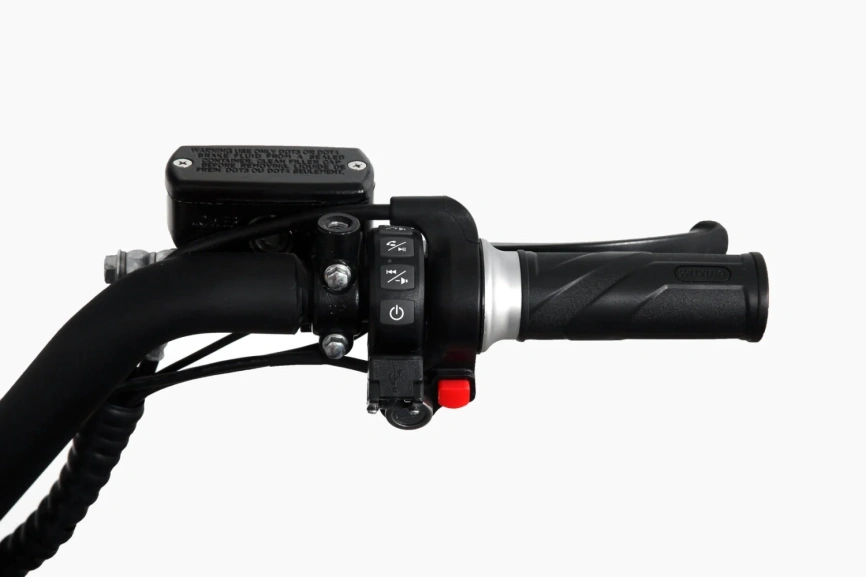 Электроскутер Skyboard Amur BR100 5000W фото 13