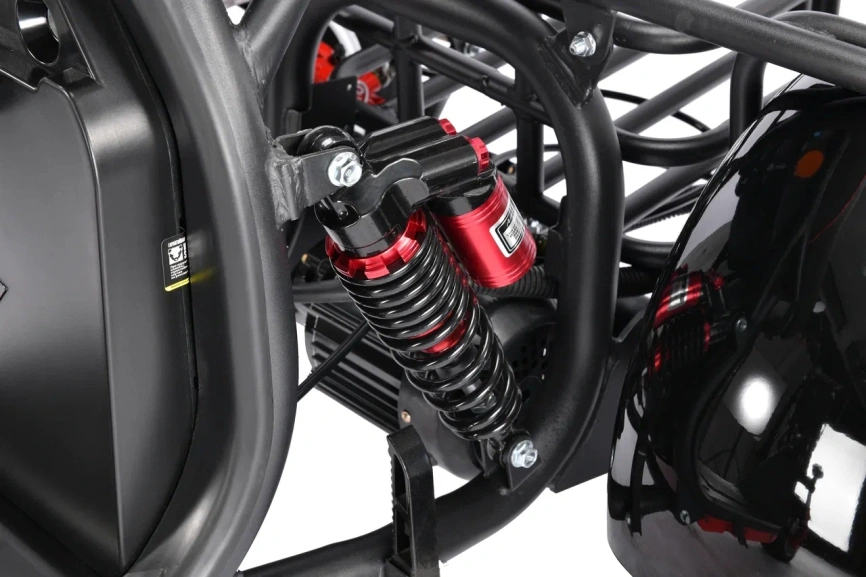 WHITE SIBERIA PRO TRIKE 3000W BLACK фото 4