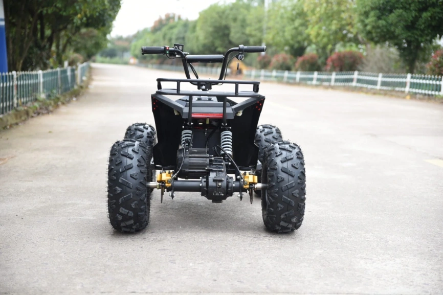 Электроквадроцикл Skyboard CyberTruck Karelia 1800W фото 19