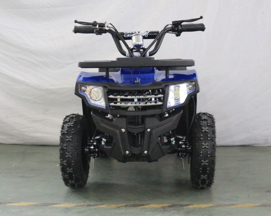 Электроквадроцикл GreenCamel Гоби K24 36V 800W фото 7