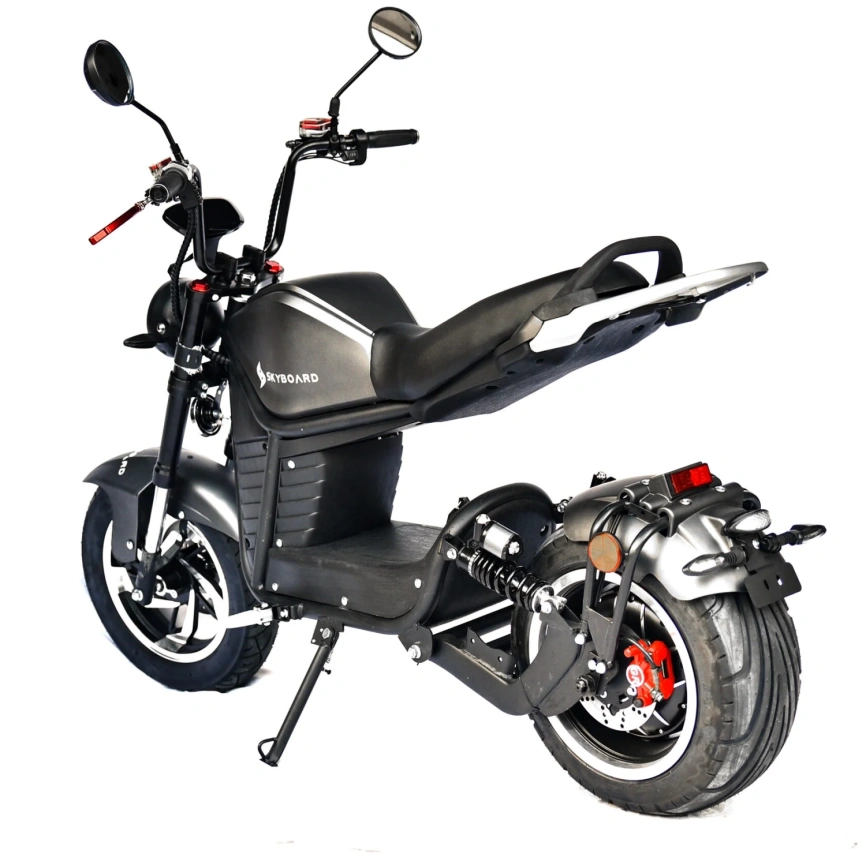 Электроскутер Skyboard FAR EAST 5000W (мотор-колесо 5000W, АКБ Li-ion 72V50Ah) фото 11