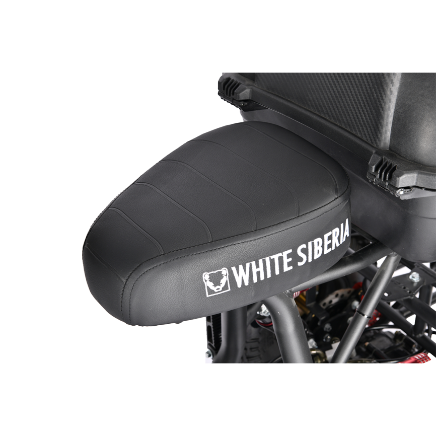 Электротрицикл WHITE SIBERIA TRIKE MINI RED 1500W Шоссейные колёса фото 20