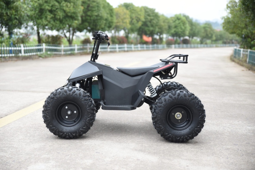 Электроквадроцикл Skyboard CyberTruck Karelia 1800W фото 11