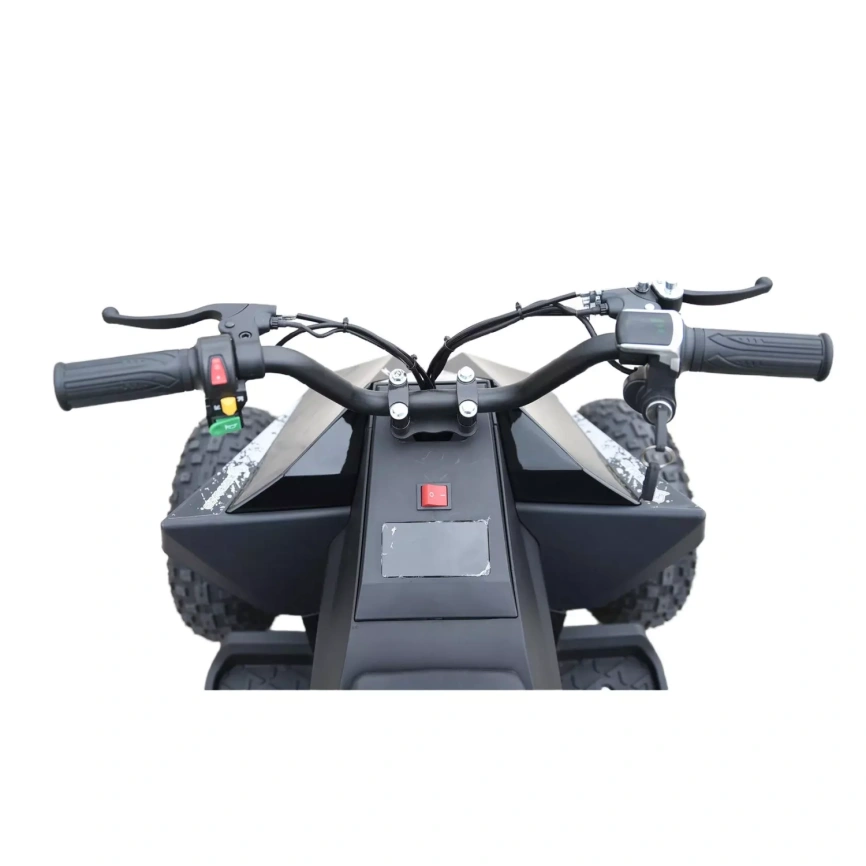 Skyboard CyberTruck Sochi Power 1000W (дифференциальный редуктор) фото 11