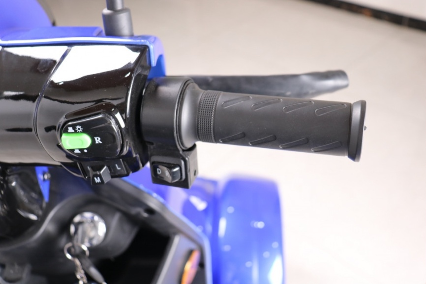 Трайк GreenCamel Пони 4K V2 (60V20Ah 1000W) фото 11