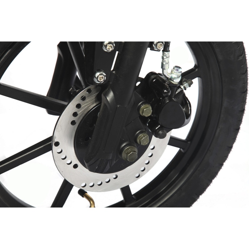 Электроскутер Skyboard Sakhalin 1200W (АКБ Li-ion 48V25Ah) фото 10