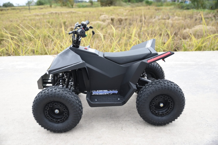 Skyboard CyberTruck Sochi Power 1000W (дифференциальный редуктор) фото 6