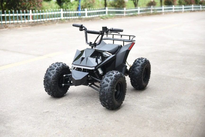 Электроквадроцикл Skyboard CyberTruck Karelia 1800W фото 26