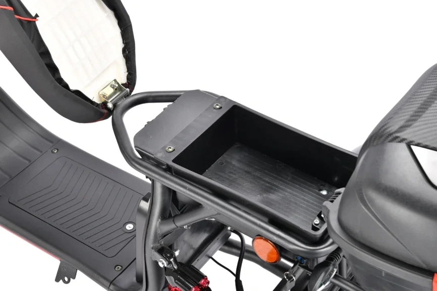 WHITE SIBERIA PRO TRIKE 3000W BLACK фото 19