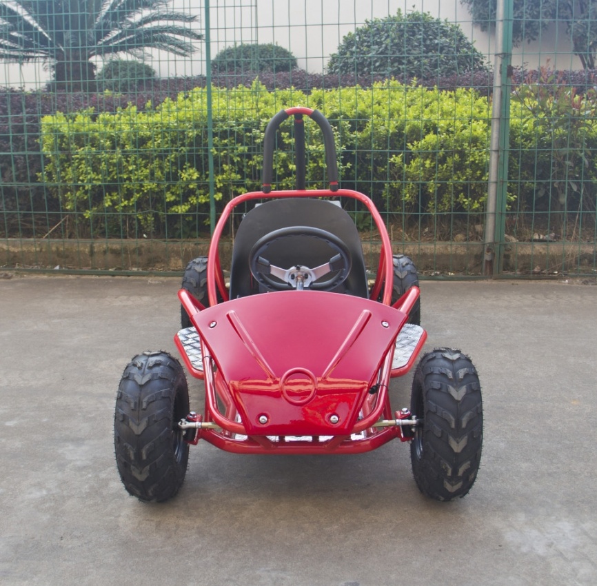 Багги GreenCamel Намиб T007 (48V20Ah 1000W R6) Дифференциал фото 7