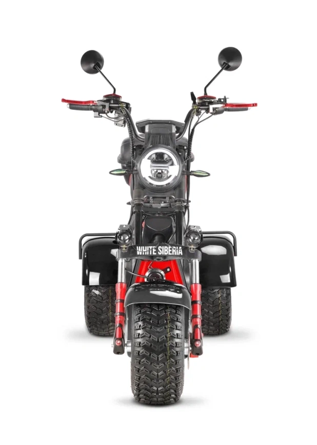 Электроскутер WHITE SIBERIA PRO MAX 3950W BLACK фото 25