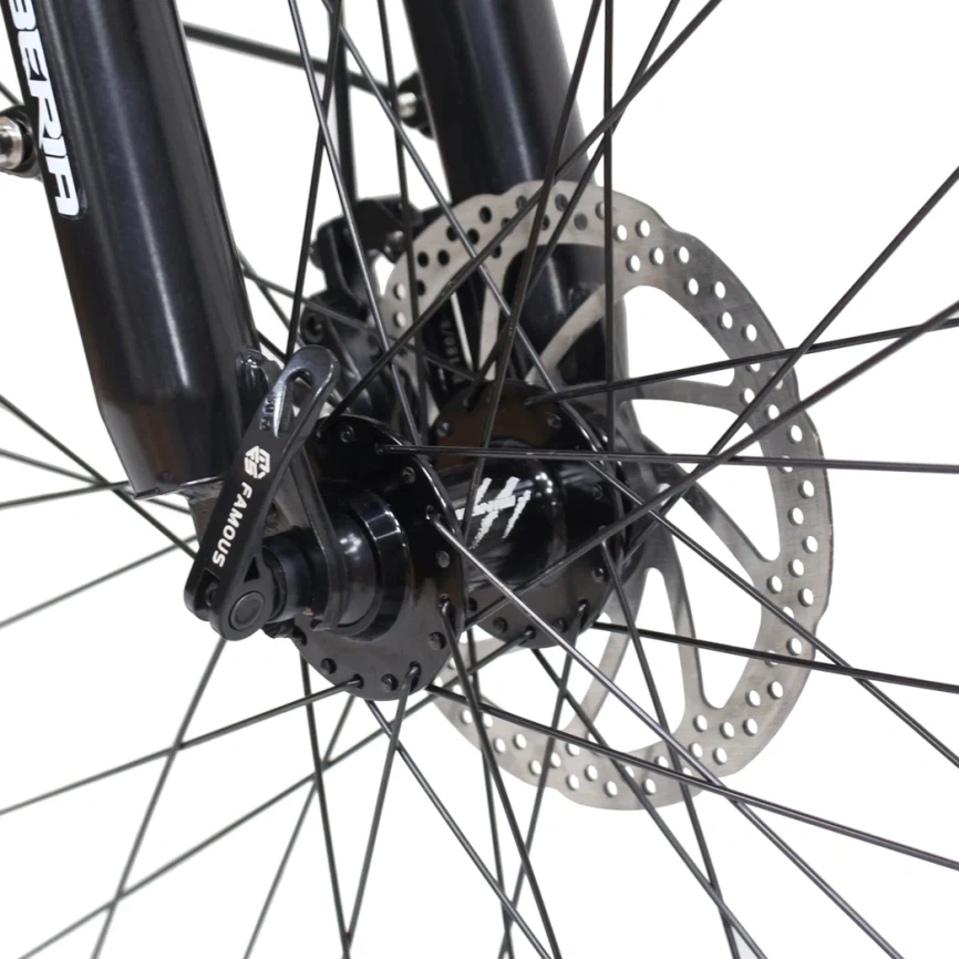 WHITE SIBERIA CAMRY ALLROAD 500W (матовый серебристый) фото 13