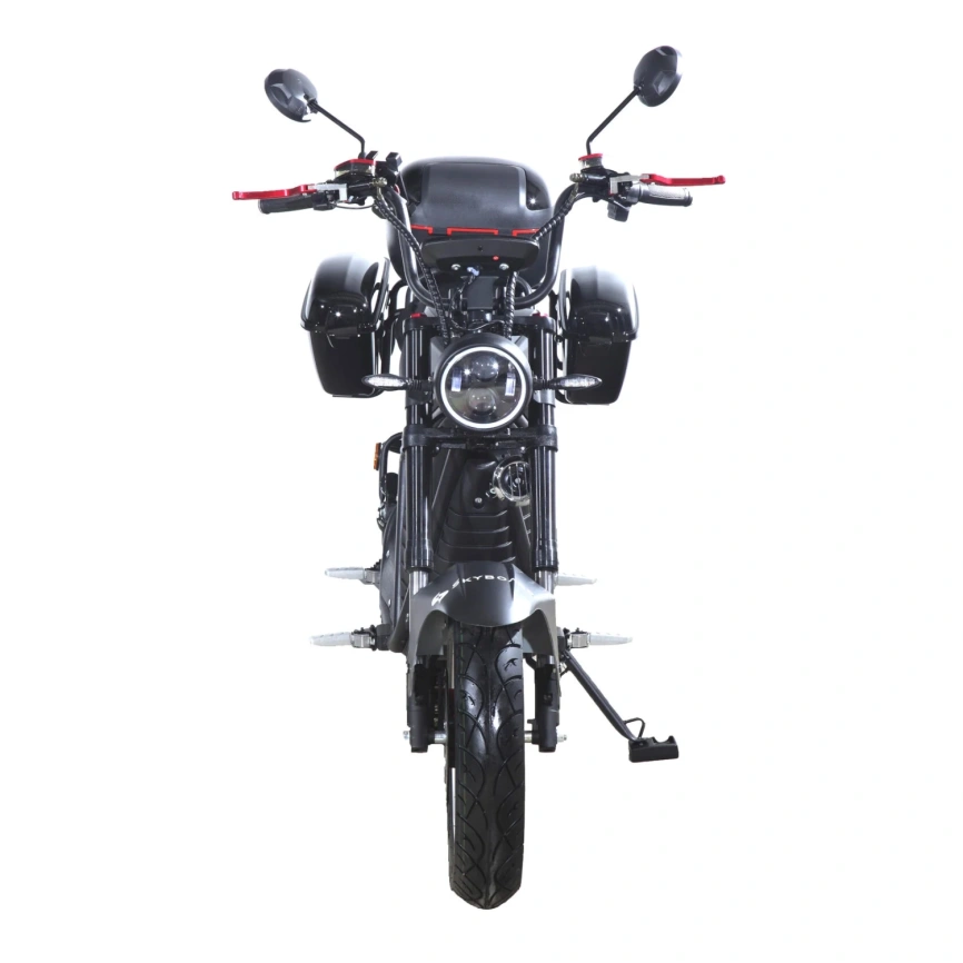 Электроскутер Skyboard FAR EAST 5000W (мотор-колесо 5000W, АКБ Li-ion 72V50Ah) фото 2