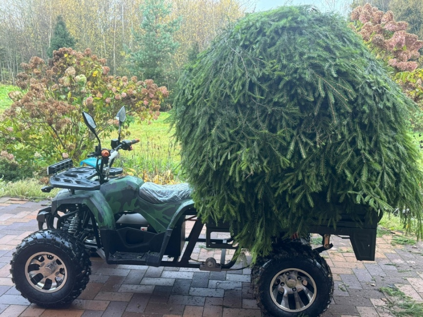 Квадроцикл грузовой GreenCamel Сахара A015 (72V32Ah 1500W R10alum) пониженная фото 6