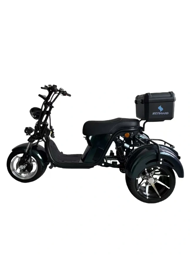 Электроскутер Skyboard MyRussia BR60 3000W (АКБ LiFePO4 72V25Ah) фото 2