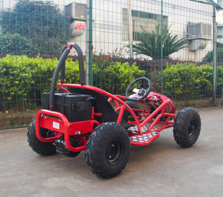 Багги GreenCamel Намиб T007 (48V20Ah 1000W R6) Дифференциал фото 4