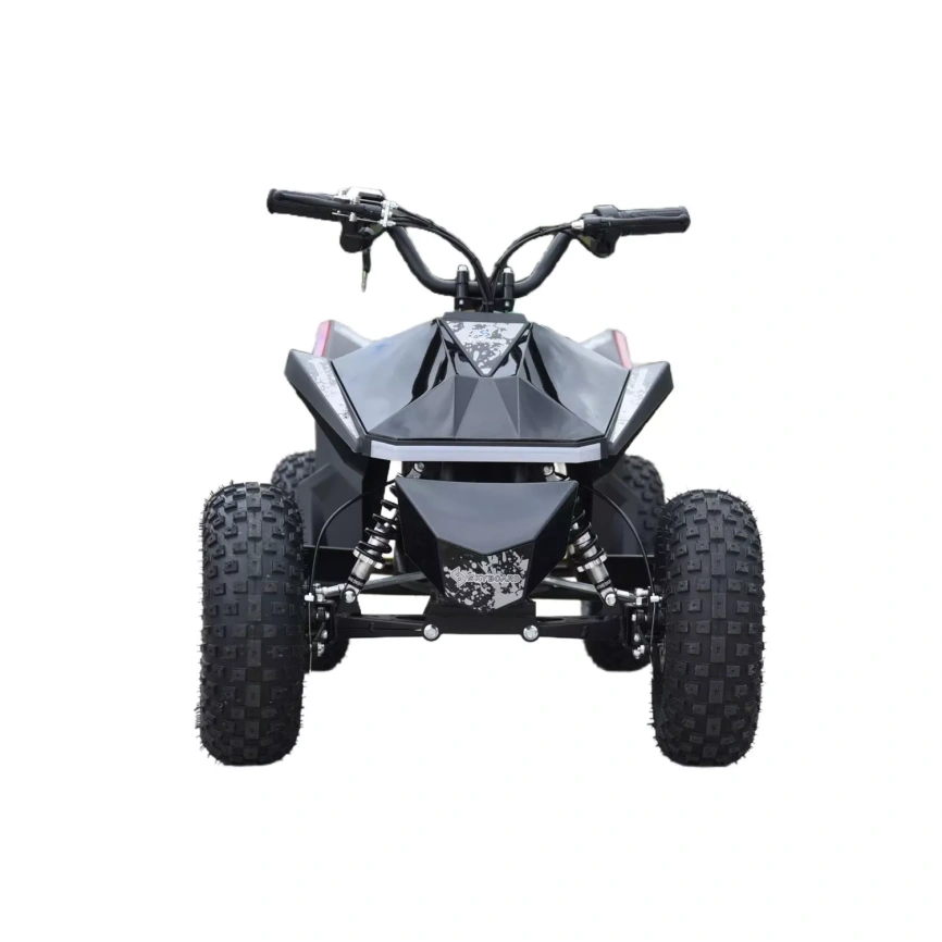 Skyboard CyberTruck Sochi Power 1000W (дифференциальный редуктор) фото 7