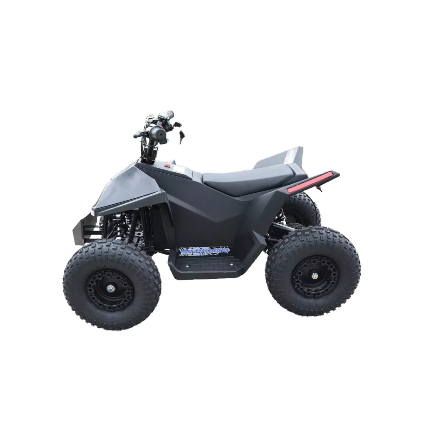 Skyboard CyberTruck Sochi Power 1000W (дифференциальный редуктор) фото 2