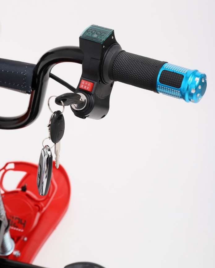 Электроснегокат Simply Go Drive PRO фото 7