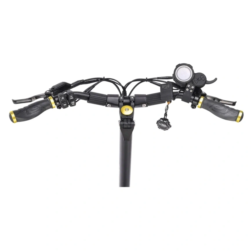 WHITE SIBERIA NERPA PRO 3600W Gold (золотой) фото 19