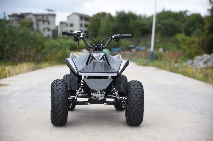 Skyboard CyberTruck Sochi Kids 800W фото 12